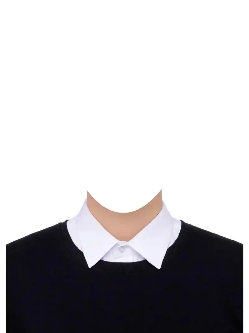 男生证件照模板 只需一张正脸照片即可 只要一张正脸照片 即可p张帅气