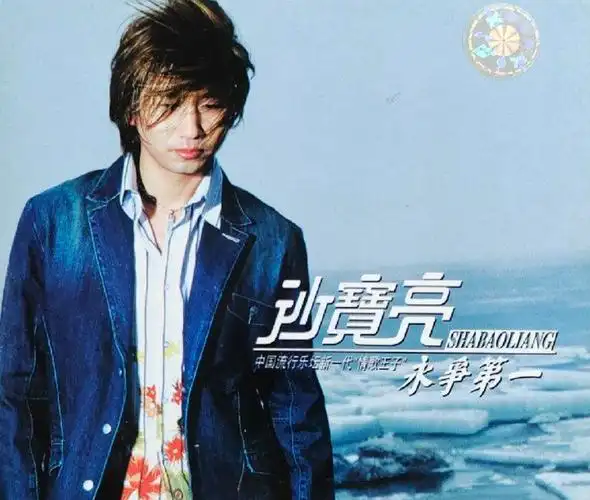 沙宝亮简历及个人资料(从"杂技王"到知名歌手的经历)_四五百科