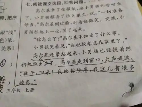 当小男孩儿把哭的原因告诉了列宁后,高尔基是怎么做的,用横线在文中画