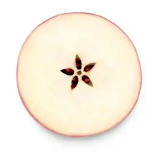 苹果的部分图片