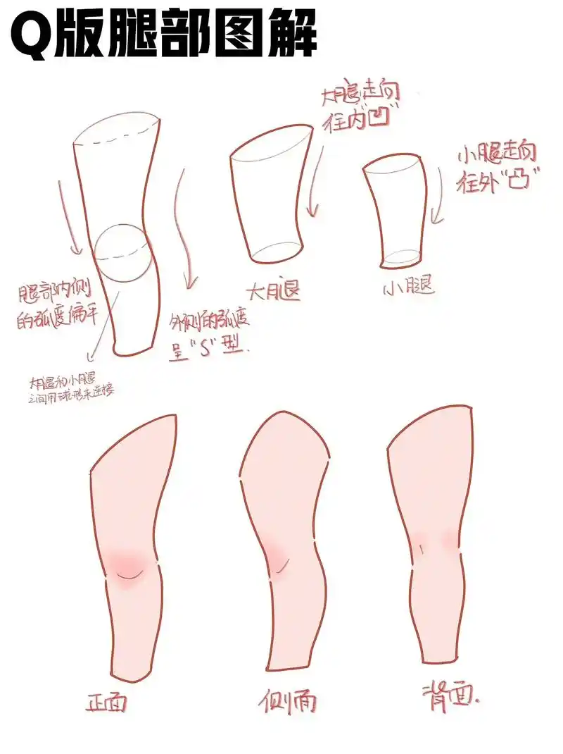 超级简单q版人物腿脚练习(教程零基础可画.#插画练习 #板绘 - 抖音