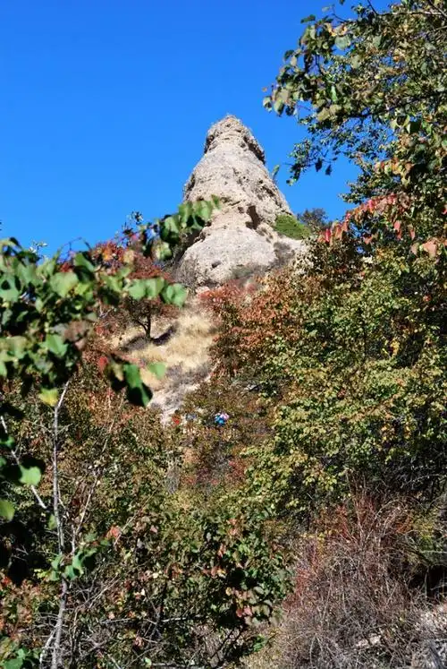 新疆伊犁大西沟福寿山金秋风光