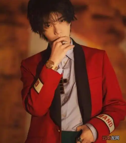 华晨宇和张碧晨女儿照片,华晨宇张碧晨和女儿合影流出