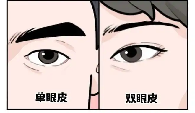 宝宝长相到底遗传谁|双眼皮|单眼皮|性状|美人尖|显性基因_网易订阅