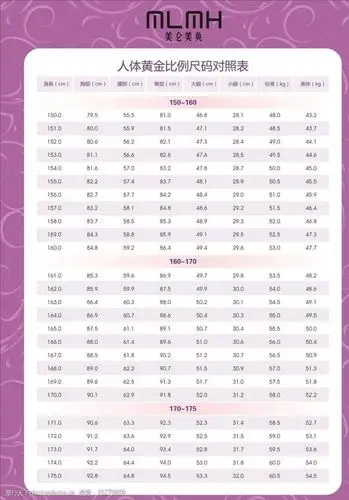 人体黄金比例尺码对照图片