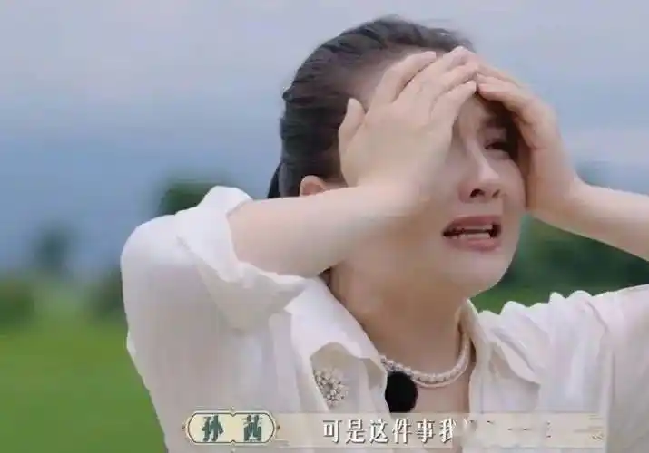 孙茜_张小斐_陶昕然