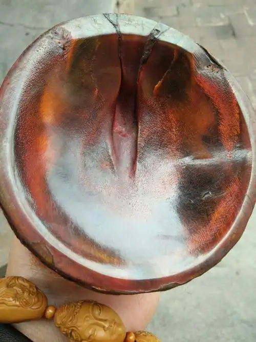 麻烦老师帮学生看看,这只是不是犀牛角,烧了一点有毛骚味