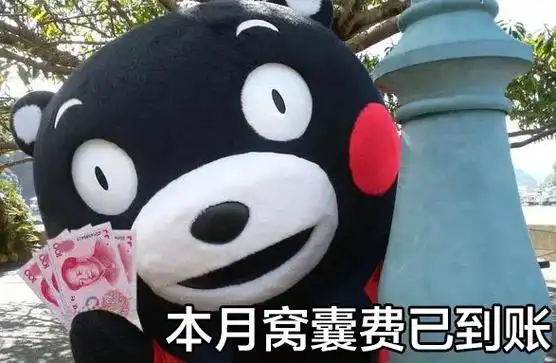 熊本熊表情包.本月窝囊废已到账#熊熊 #憨憨日常 #可怜的社 - 抖音