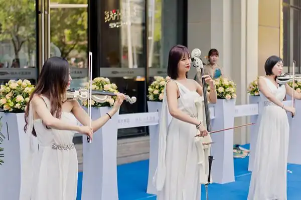 活动开场小提琴演奏