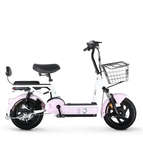 绿源新国标电动自行车女士48v锂电池电瓶车fbe成人踏板代步电动车雪山