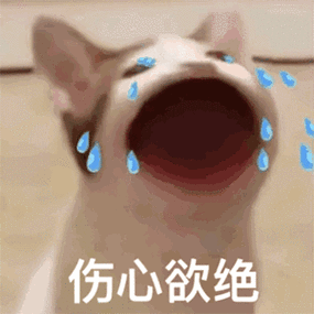 聊天斗图表情包不要相信男人的话