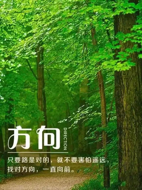 早安语录 在最美的年华做最喜欢的事情,别辜负了美好的时光