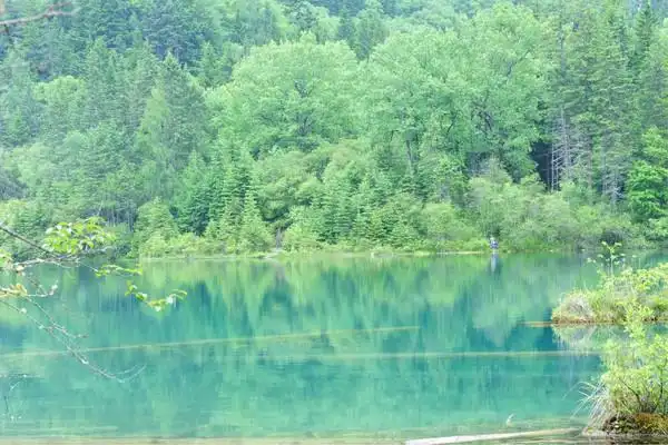 6月的人间天堂-九寨图片303,四川省旅游景点,风景名胜 - 蚂蜂窝图库