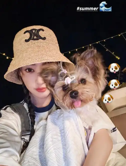 张俪综艺节目跳舞好像刚装上四肢 身穿一袭抹胸黑裙拍广告气质好