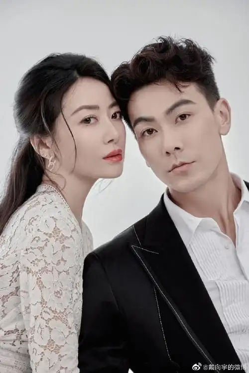 陈紫函戴向宇六年七夕