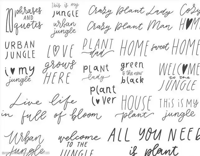 黑白矢量手写英文字母