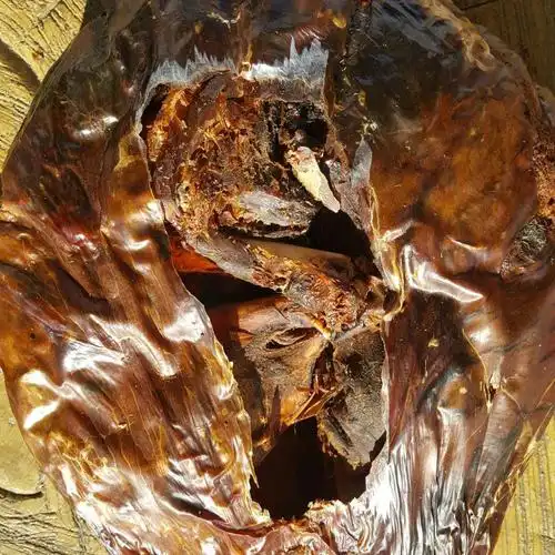 大兴安岭梅花鹿干胎 现磨鹿胎粉 50g一瓶