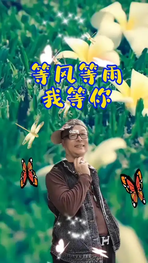 等风等雨我等你