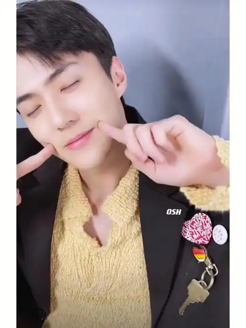 推给吴世勋老婆#吴世勋  #exo吴世勋  #吴世勋壁纸 #吴世勋女友视角