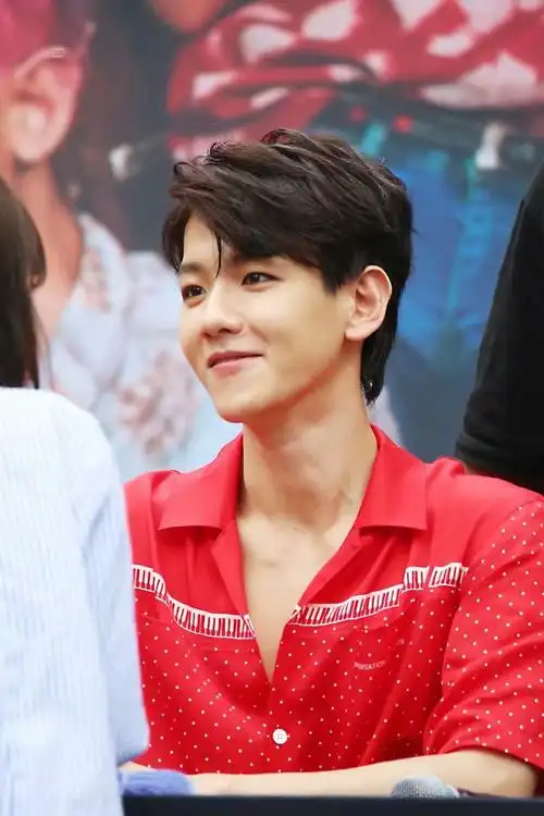 边伯贤壁纸exokokobop2017签售会阿爸