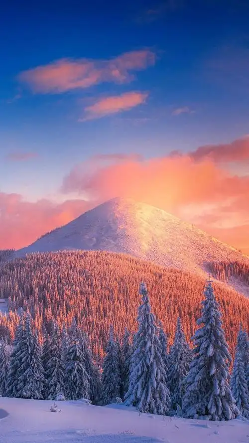 冬天,唯美,雪景,意境, 标签:唯美风景雪景图片雪景唯美自然风景寒冷