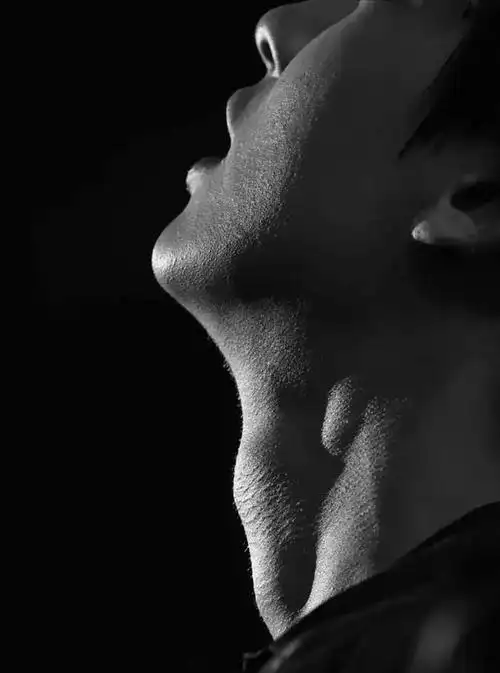 人类的喉结是一个特殊的身体部位,它是连接口腔和食管的结构,主要作用