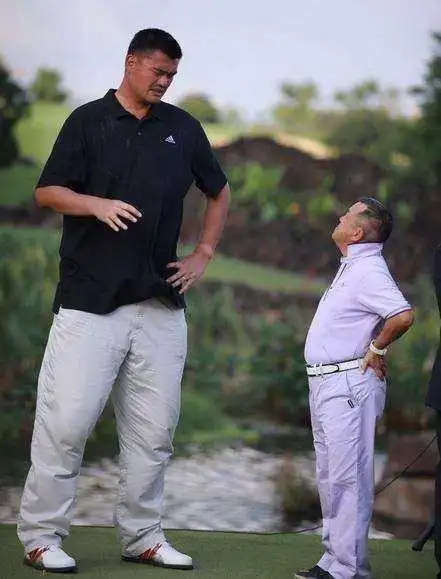 姚明与众明星的合影都相差悬殊,但是只有在她面前缩小了身高差