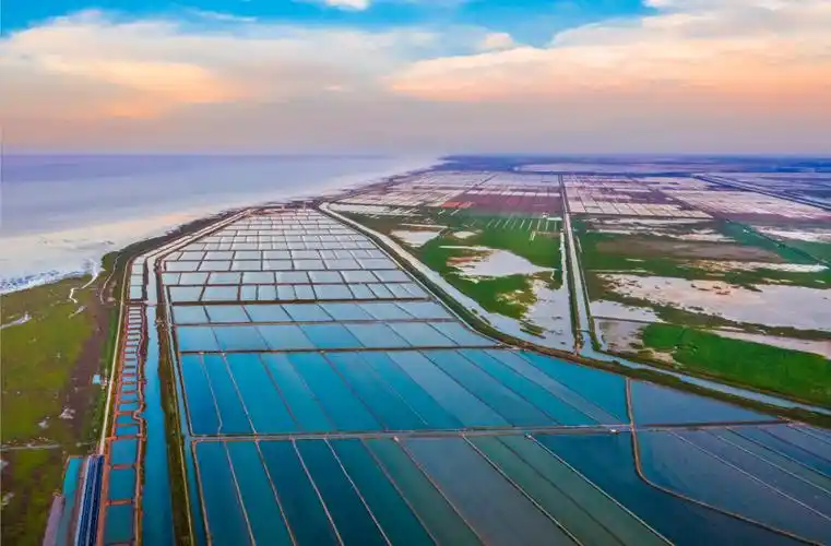 江苏盐城:耕海牧渔,建好"蓝色粮仓"