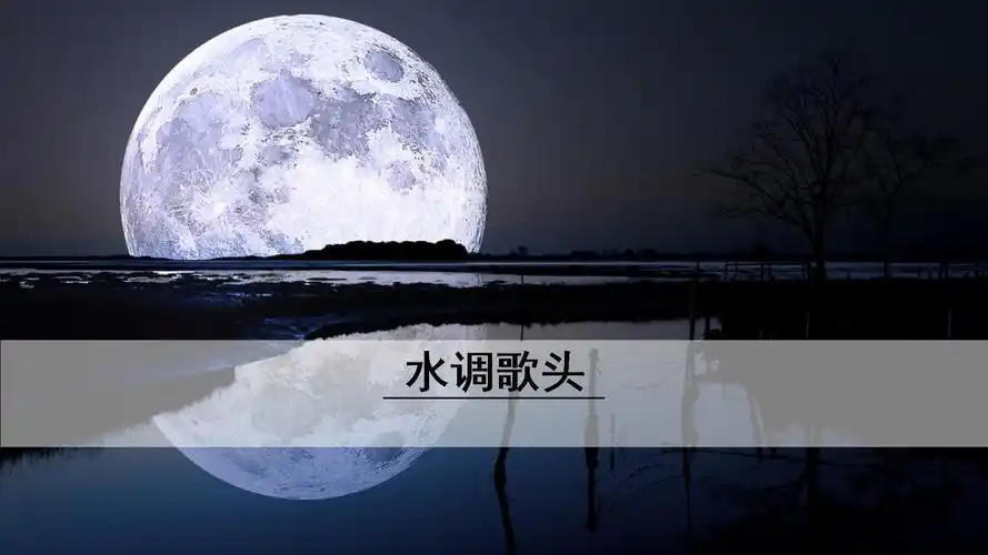 最新人教部编版九年级上册语文《水调歌头》精品课件.pptx 23页