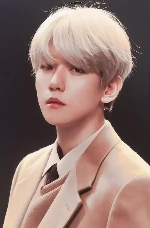 边伯贤那些应当用「美」来形容的图片