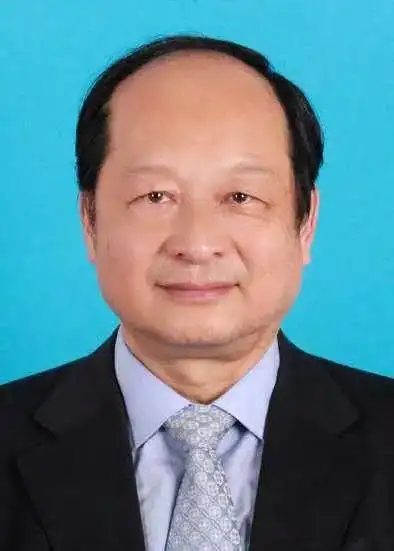 马丁·雅克(martinjacques)英国剑桥大学政治与国际研究系高级研究员