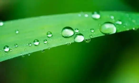 第916期警营声力量大自然的启示二