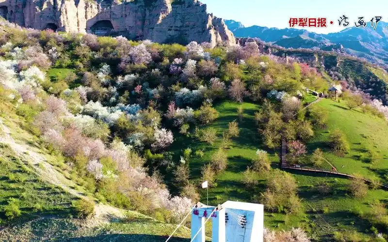 春瞰伊犁·中华福寿山