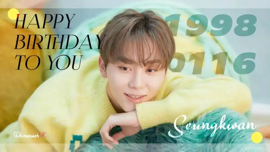 09(731102-110273)92#seventeen  #seventeen夫胜宽