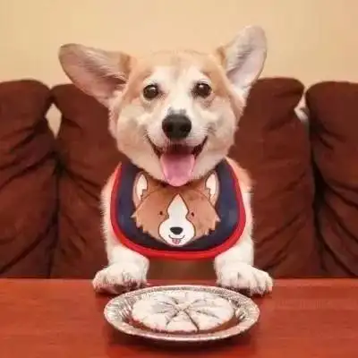 情侣头像丨如果你特无聊,我们就一起聊