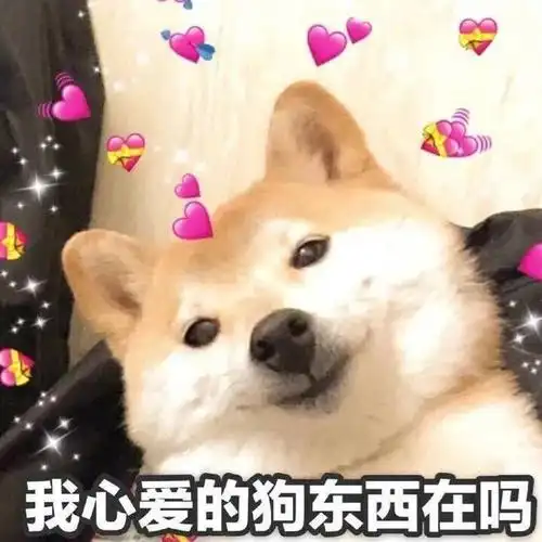 太羞耻了,撩拨暧昧的表情包!