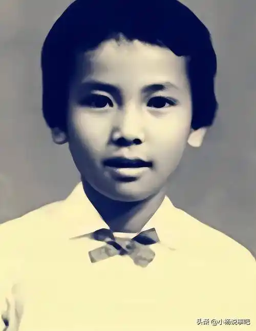 陈美琪_马清伟_演艺