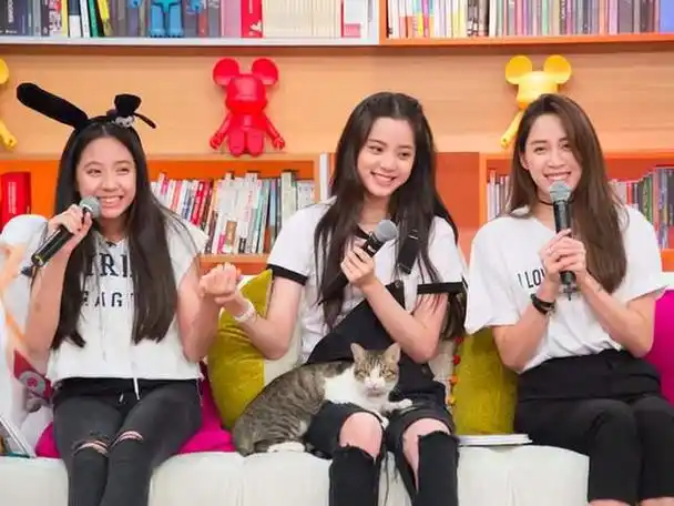 和想要男孩无关,网友这回弄明白了|演员|欧阳娜娜|不要乱说|里约大