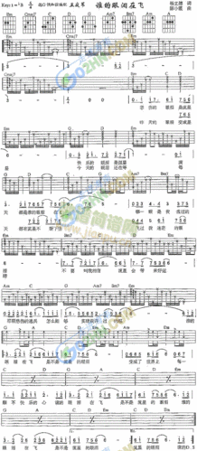 谁的眼泪在飞 歌谱简谱网