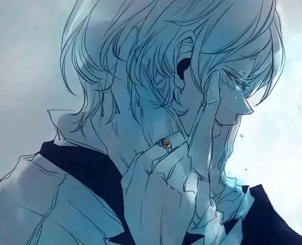 让人哭泣的男孩动漫