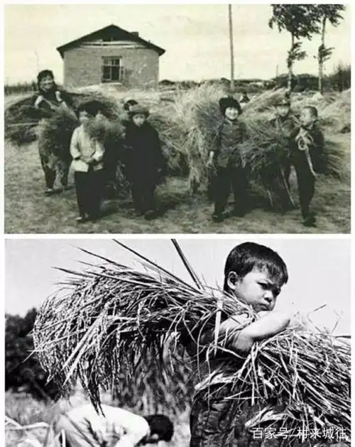 四川农村70后精神家园:童年记忆.