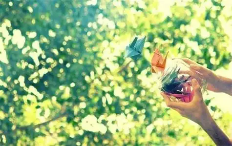 千纸鹤传说千纸鹤蕴含着爱情