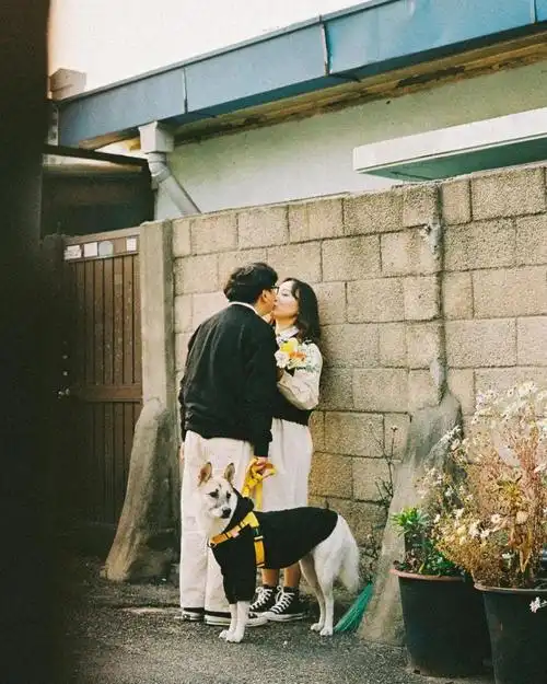 88 种情侣照 pose(情侣拍照姿势大全)