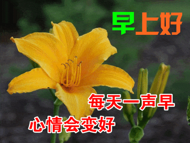 2020清晨最美早上好动画表情图片带字句句暖心的早安祝福语