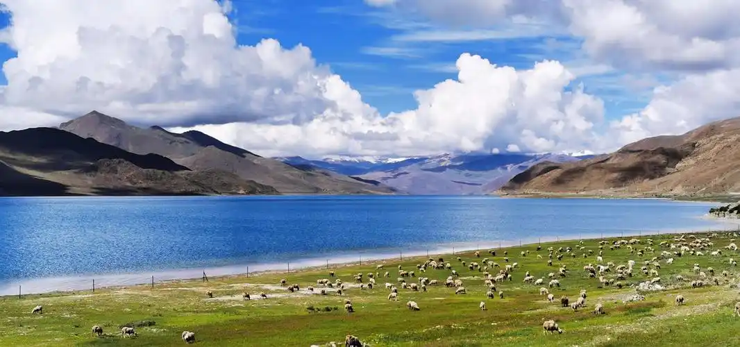 夏日多彩羊卓雍湖