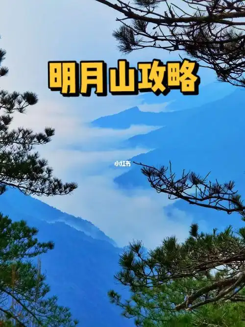 明月山海拔(明月山海拔高)