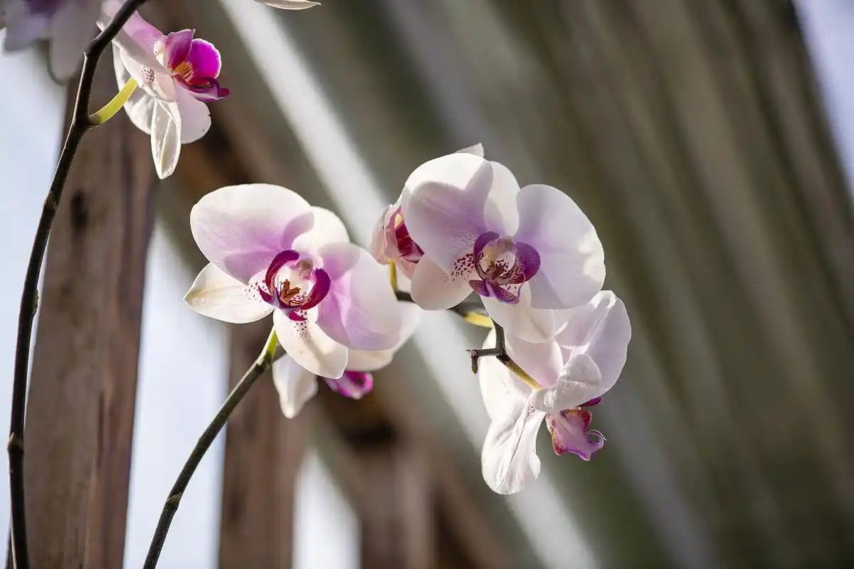 考上工作高兴的,和一群朋友去饭店喝酒.