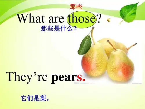 苏教版牛津译林版三年级英语下册英语三年级下牛津苏教版《unit 7 on