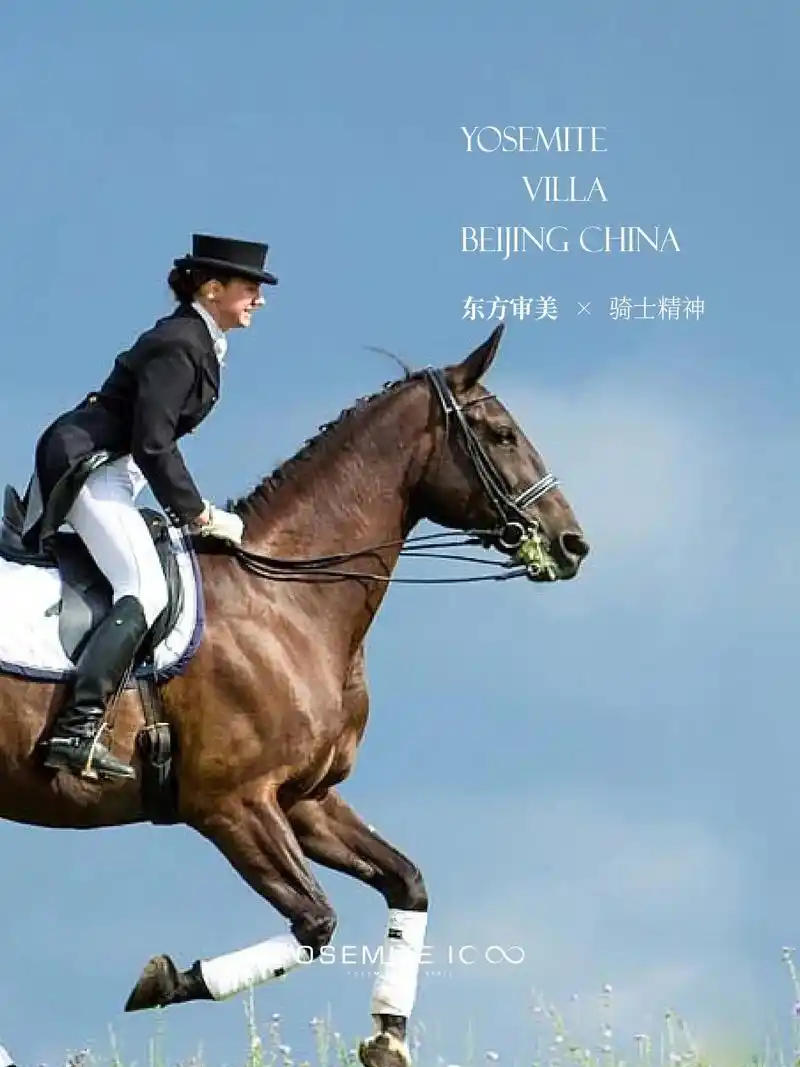 优美生活志原来优雅觉醒骑士精神