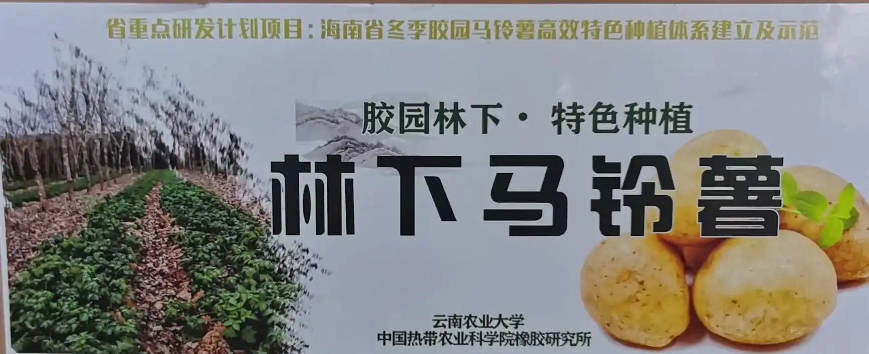 土豆雕刻创意～ - 抖音